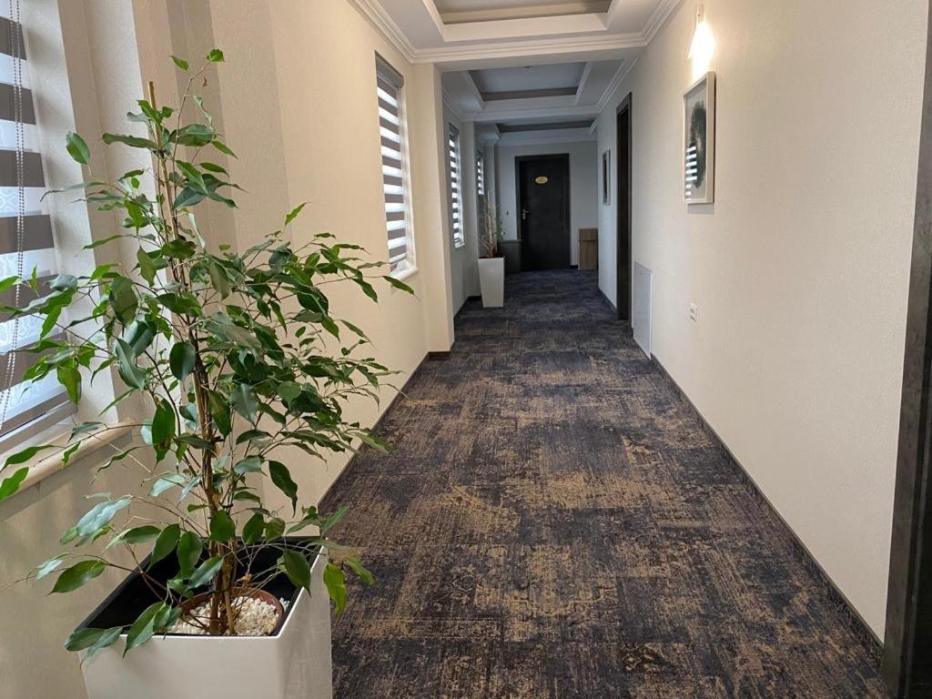 Hotel Yarus Plus Плоєшті Екстер'єр фото